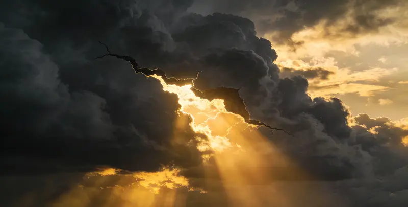 上饶肺癌8基因突变检测（组织）图片1