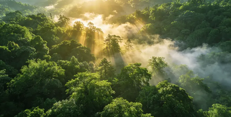 上饶肺癌靶向120基因检测（组织）图片1